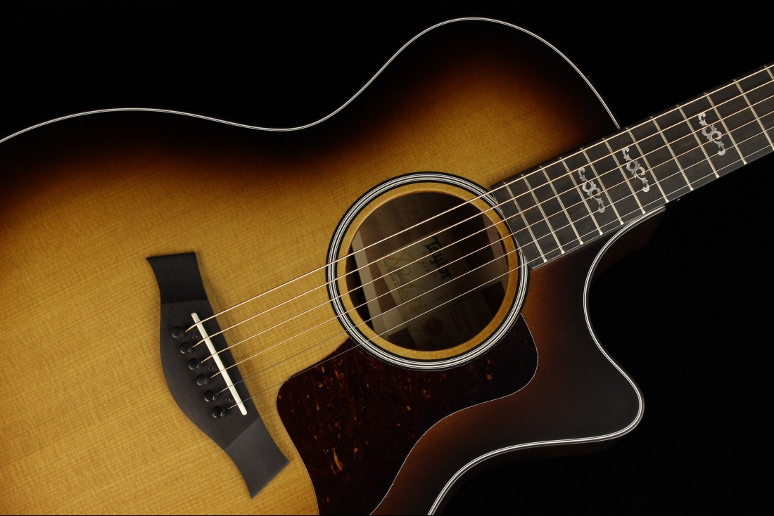 Taylor 314ce LTD V-Class Quilted Sapele / Torrified Sitka Spruce
