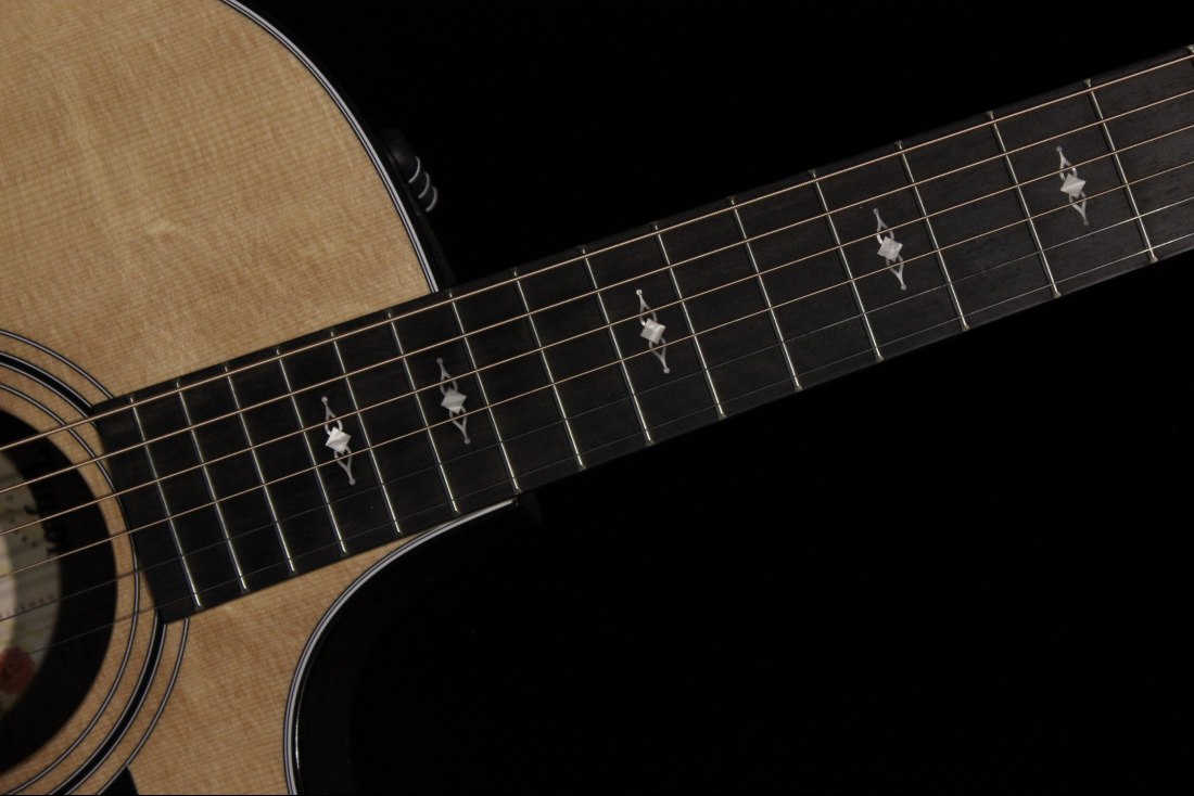 Taylor 314ce V-Class Bracing