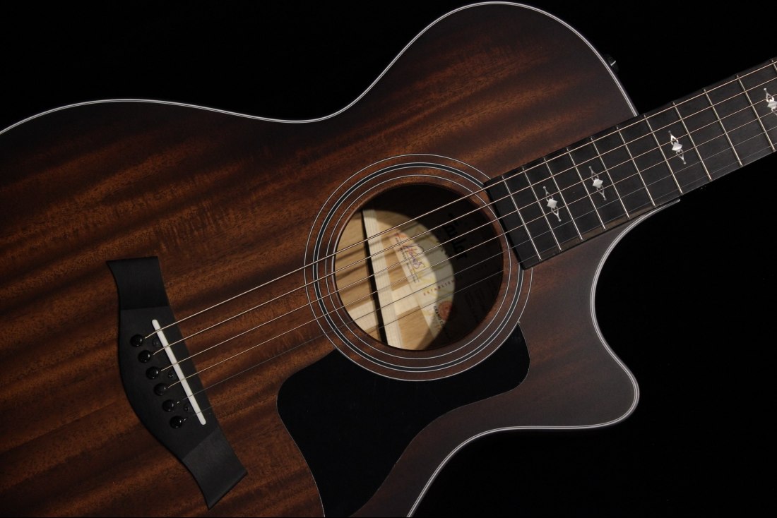 Taylor 322ce 12-Fret V-Class Bracing