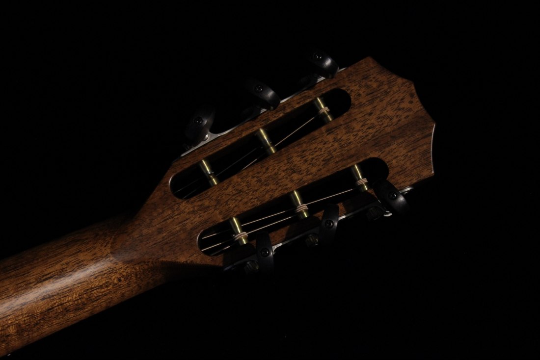 Taylor 322ce 12-Fret V-Class Bracing