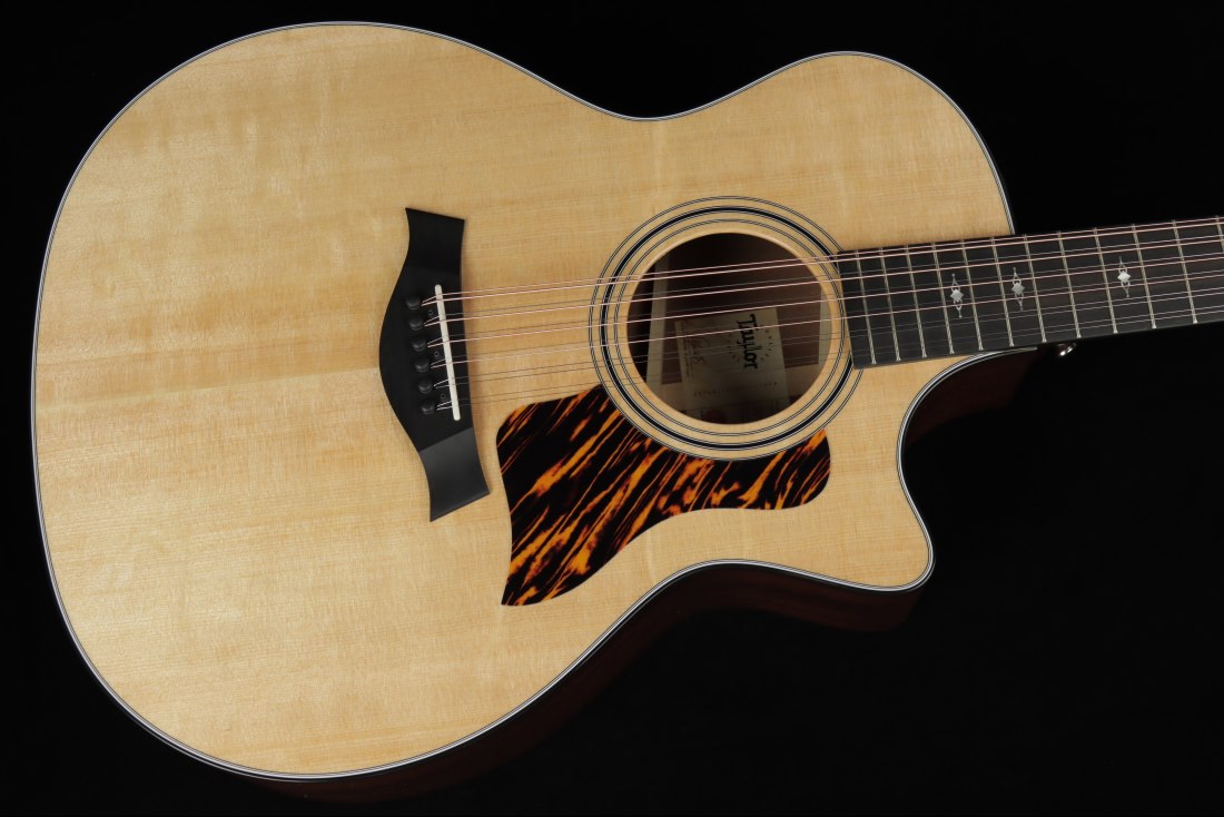 Taylor 354ce