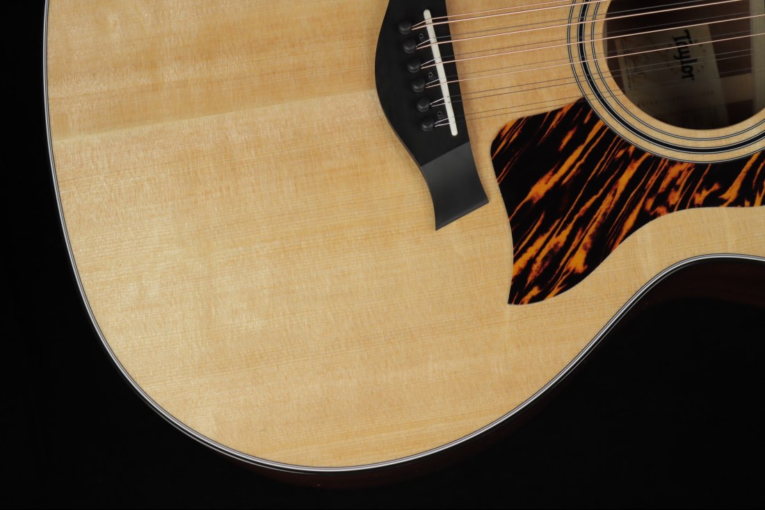 Taylor 354ce