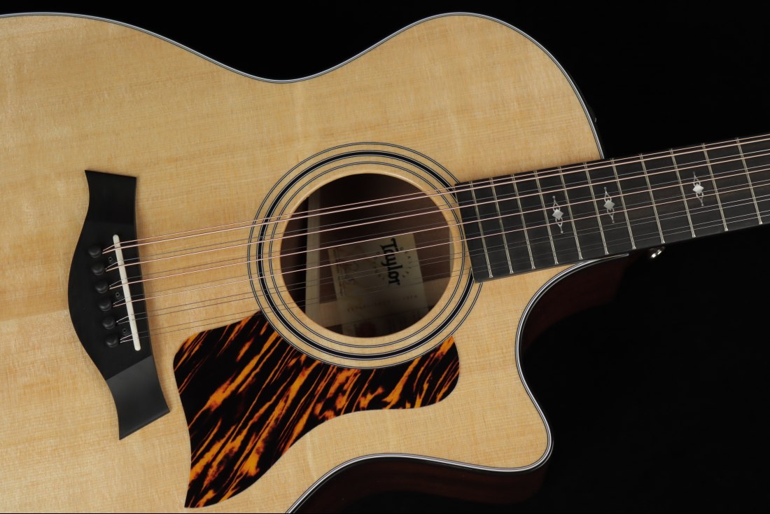 Taylor 354ce