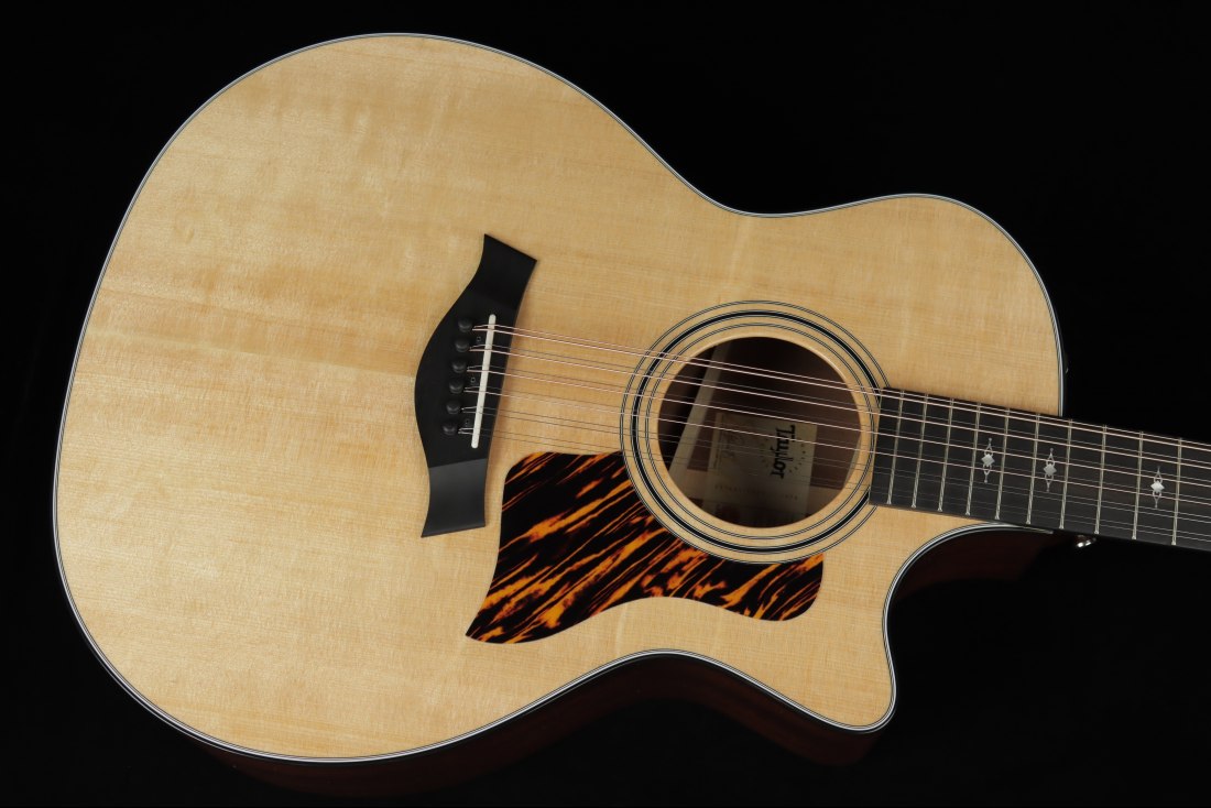 Taylor 354ce