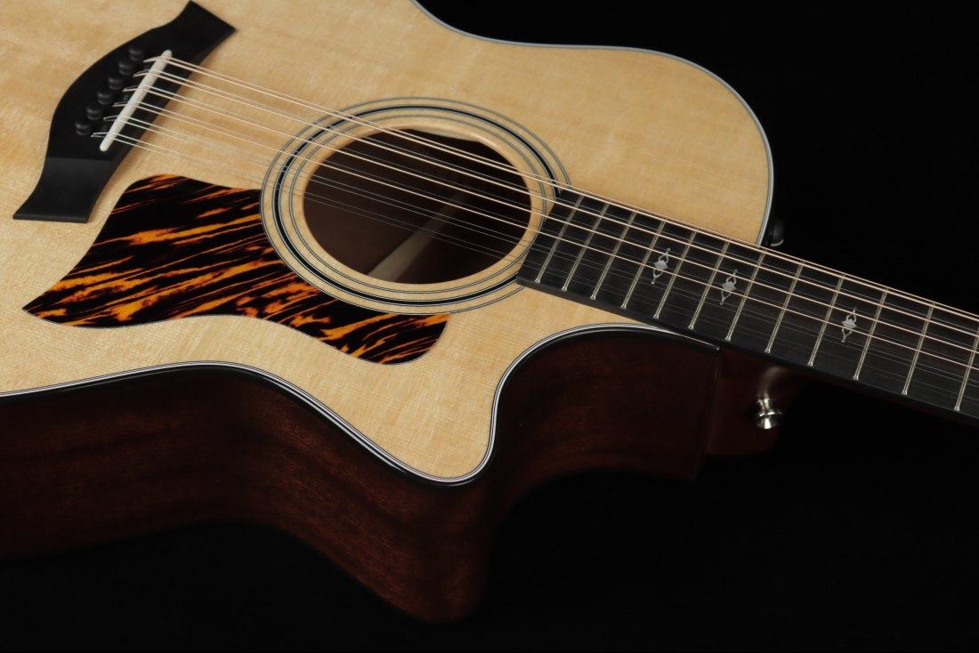 Taylor 354ce