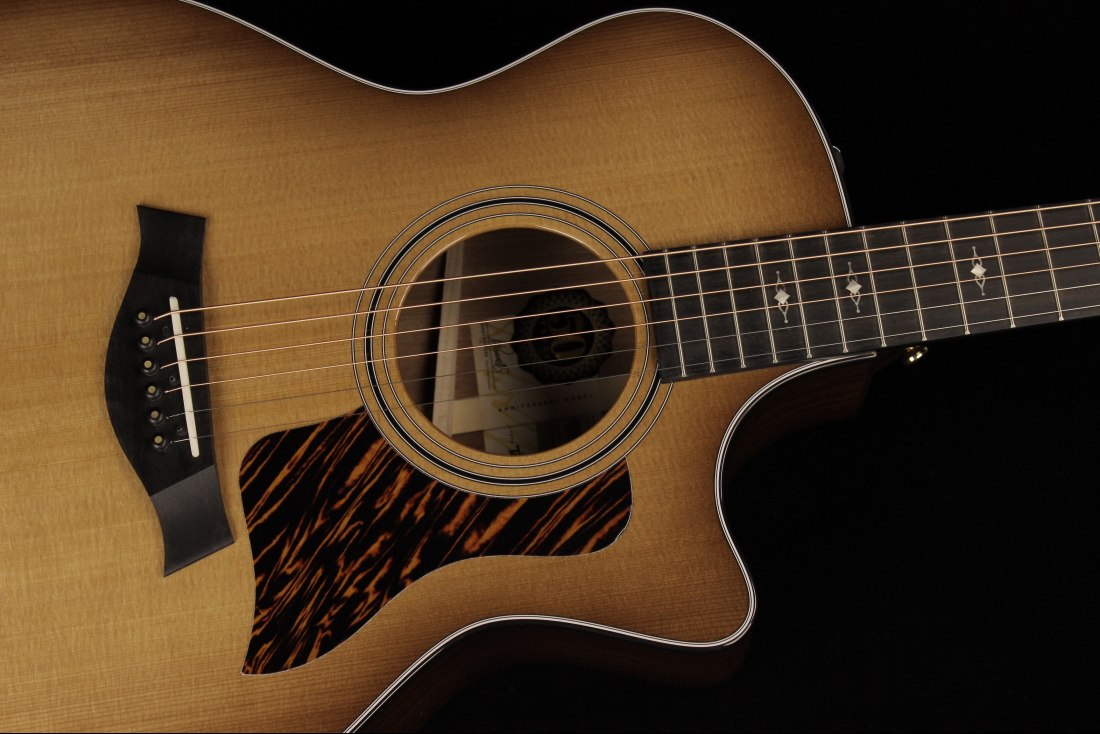 Taylor 50th Anniversary 314ce