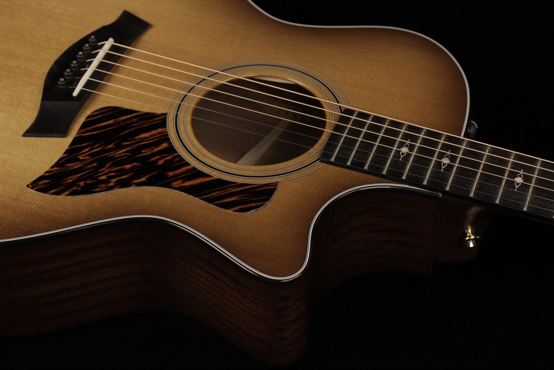 Taylor 50th Anniversary 314ce