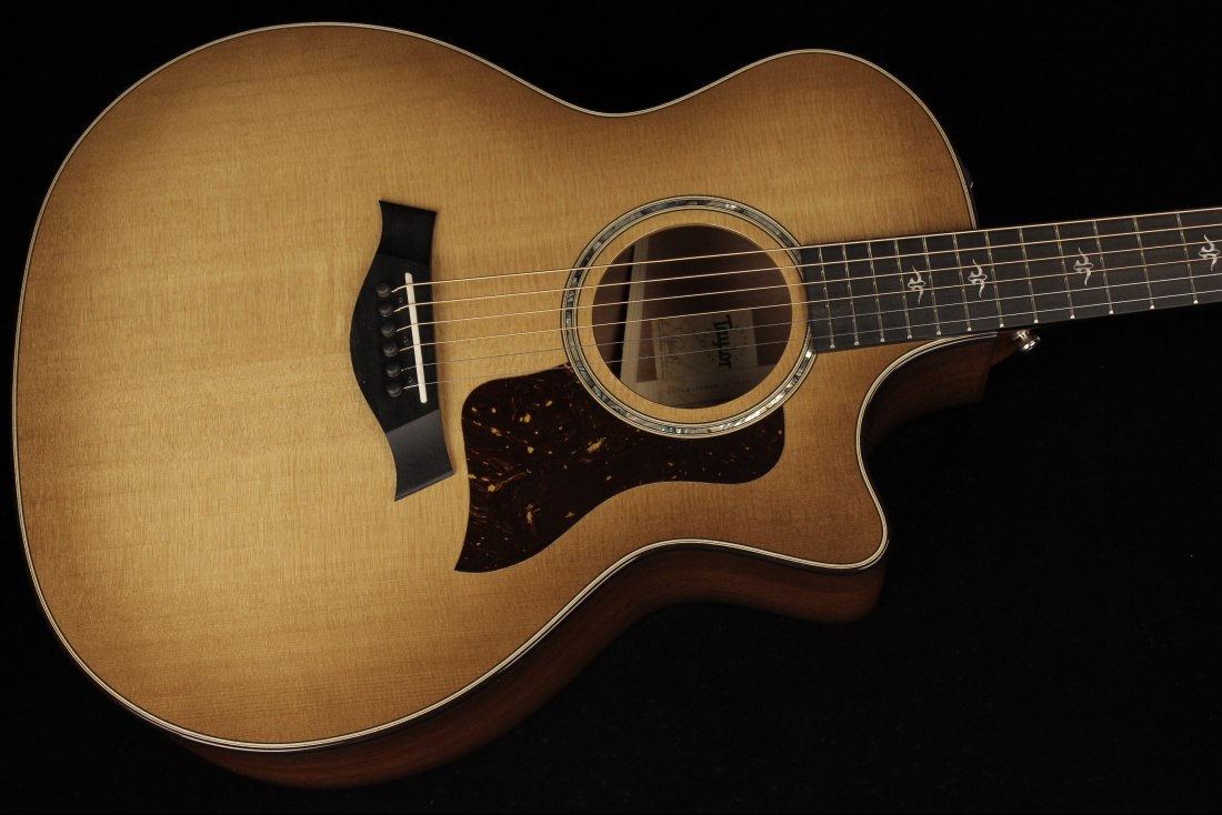 Taylor 514ce Urban Ironbark