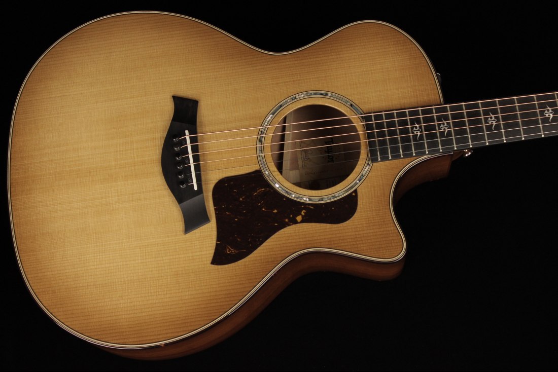 Taylor 514ce Urban Ironbark