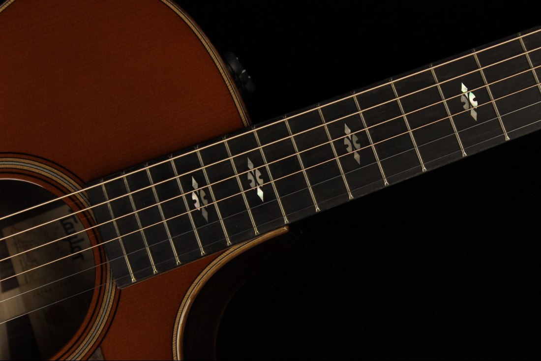 Taylor 714ce - WSB