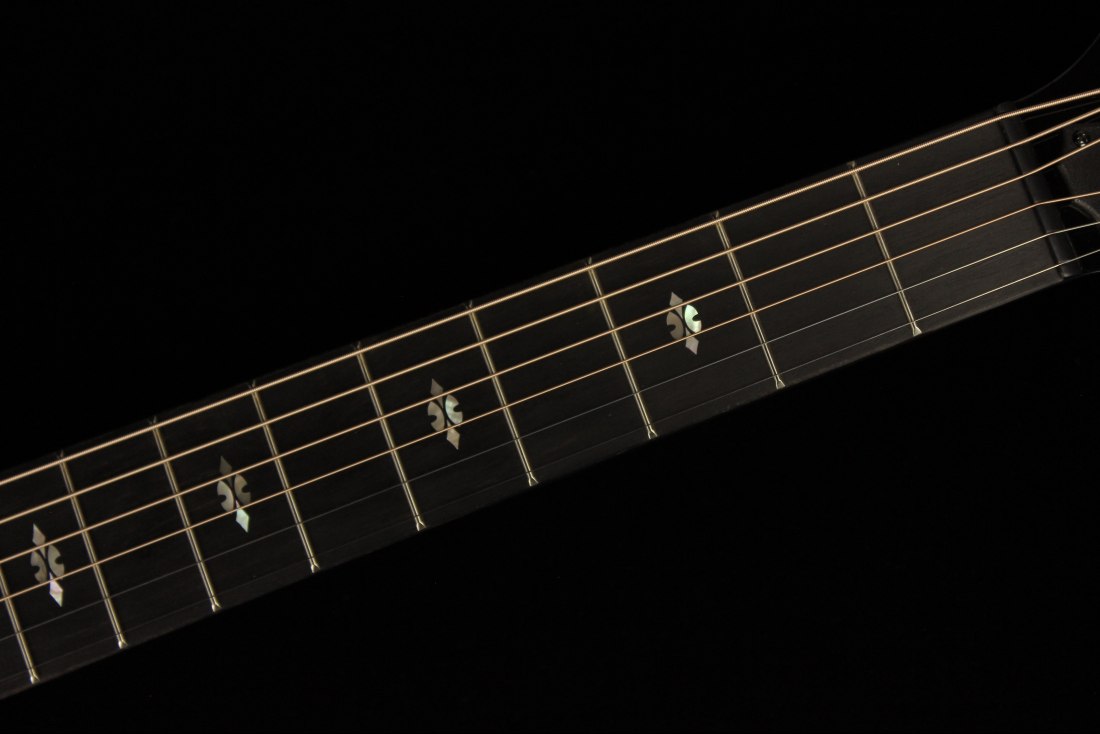 Taylor 714ce - WSB