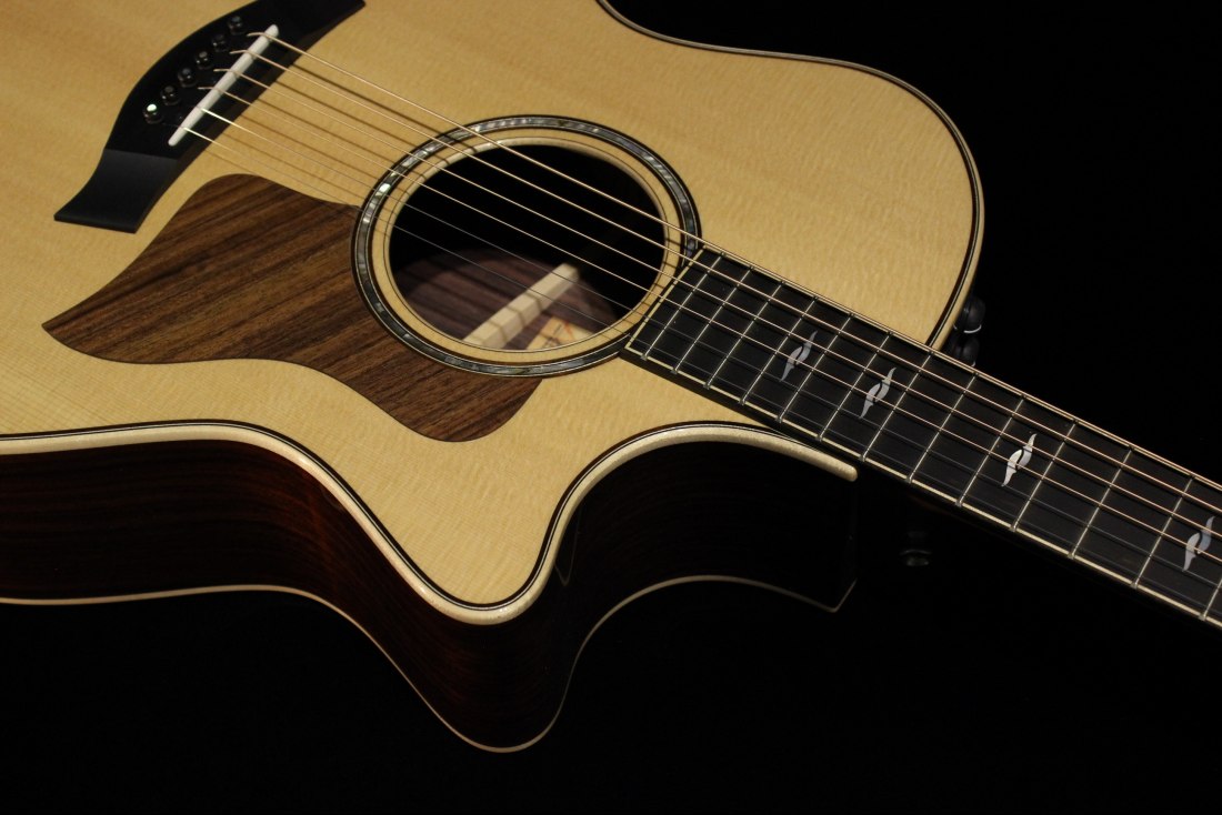 Taylor 814ce DLX V-Class Bracing