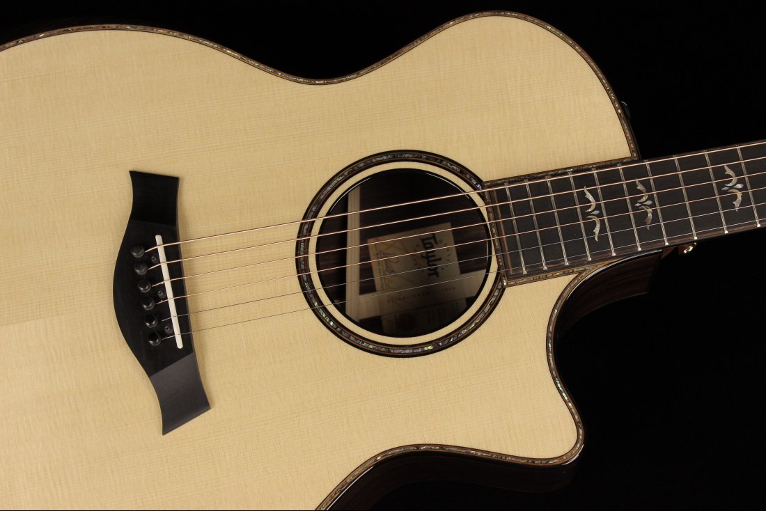 Taylor 914ce V-Class Bracing