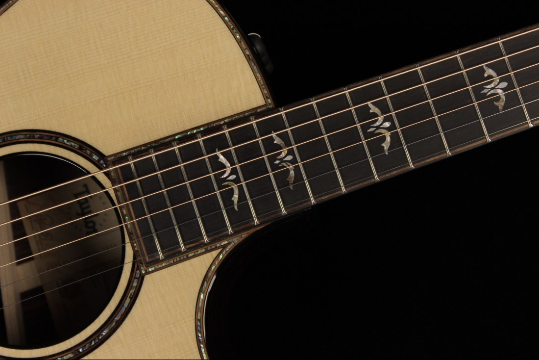 Taylor 914ce V-Class Bracing