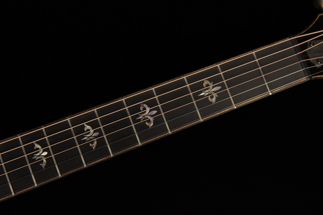 Taylor 914ce V-Class Bracing