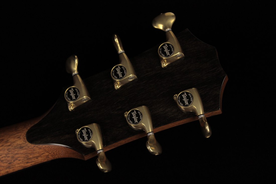 Taylor 914ce V-Class Bracing