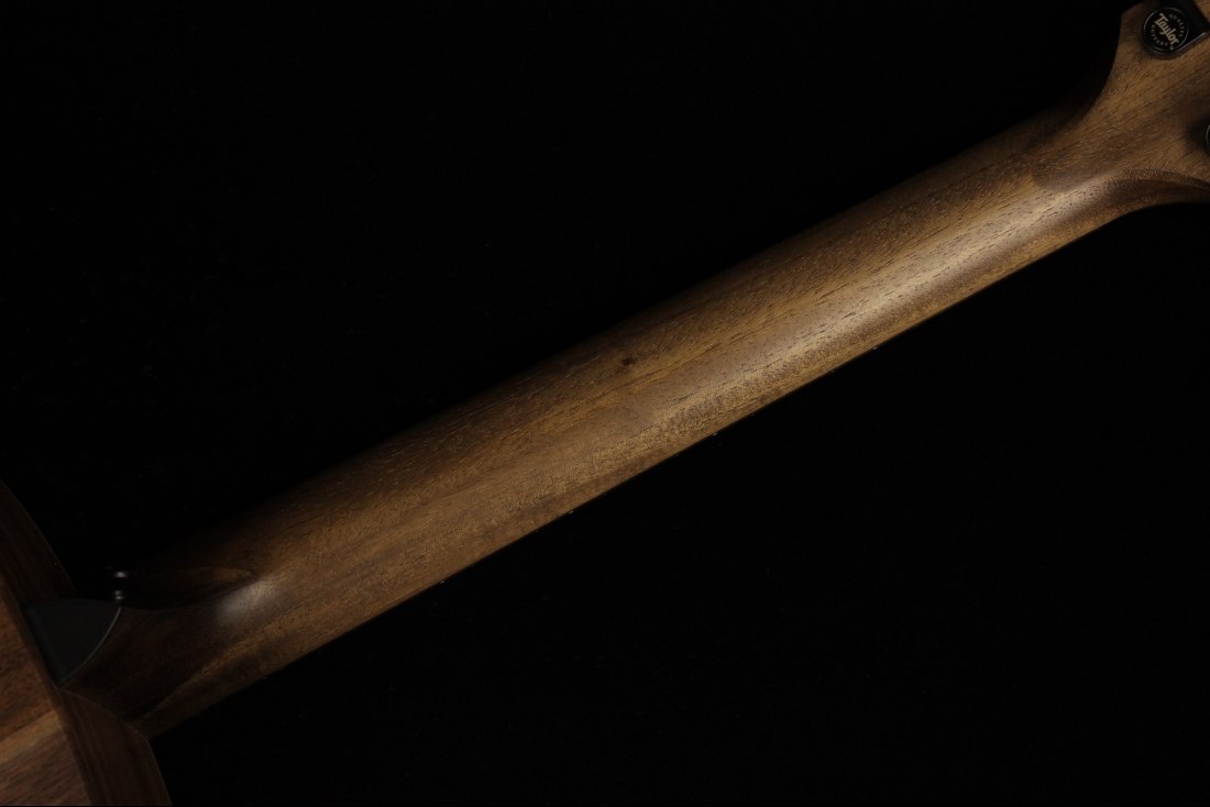 Taylor AD17e - SB