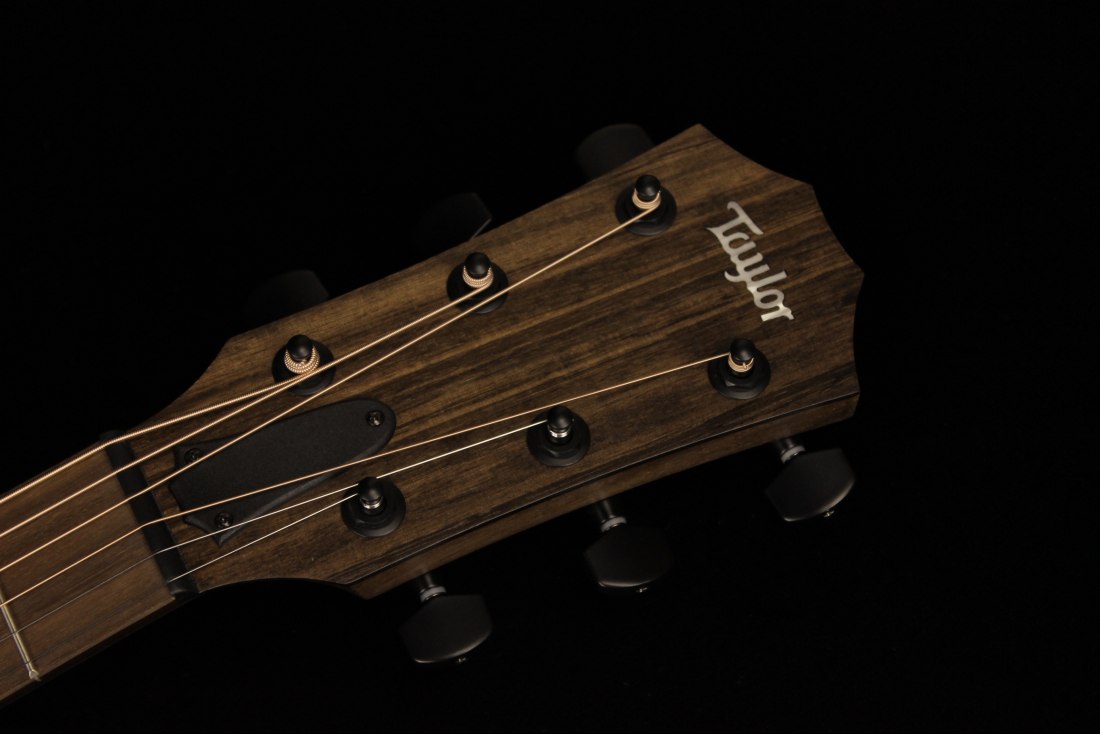 Taylor AD17e - SB