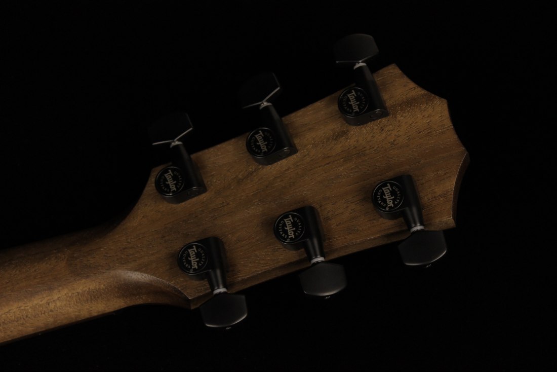 Taylor AD17e - SB