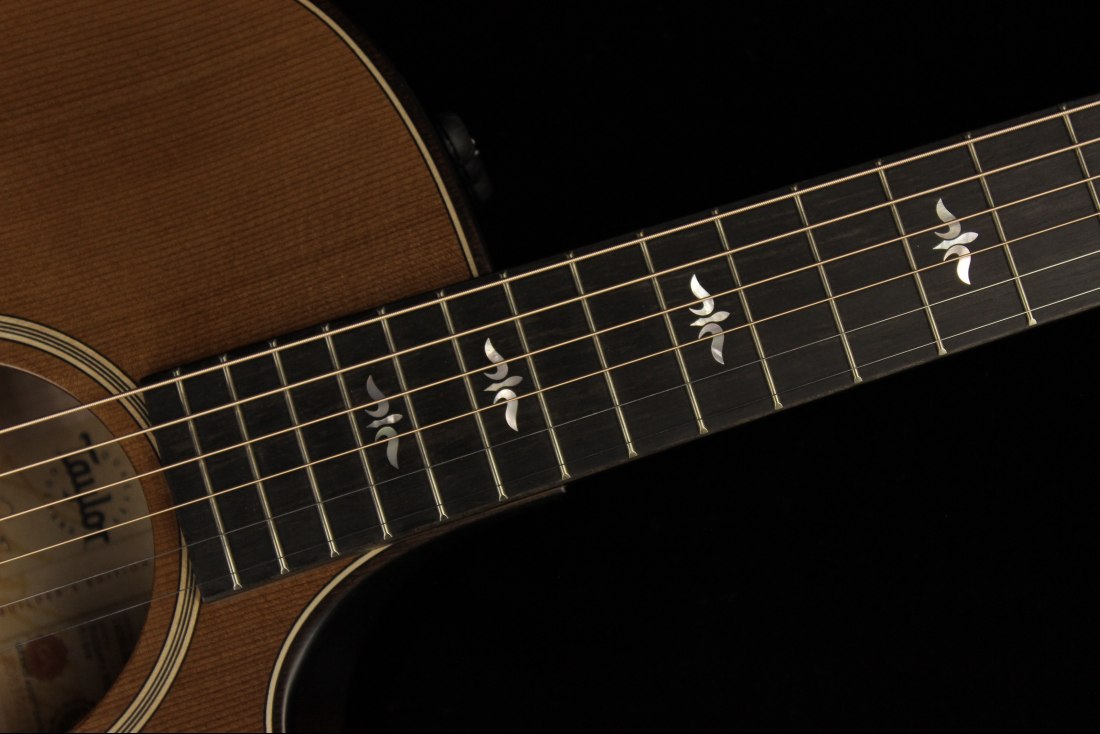 Taylor Builder's Edition 614ce - WHB