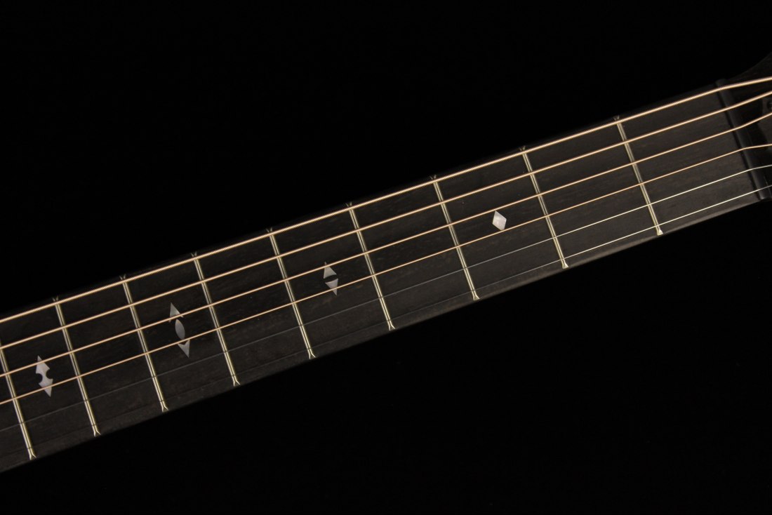 Taylor Builder's Edition 717e - WHB