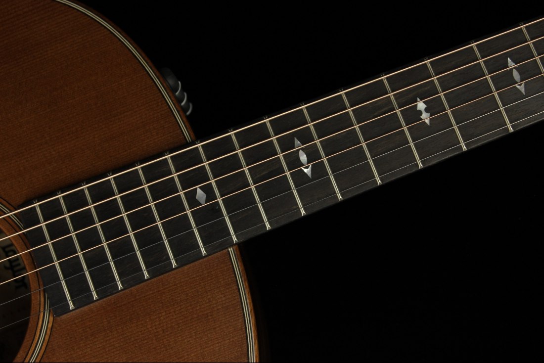 Taylor Builder's Edition 717e - WHB