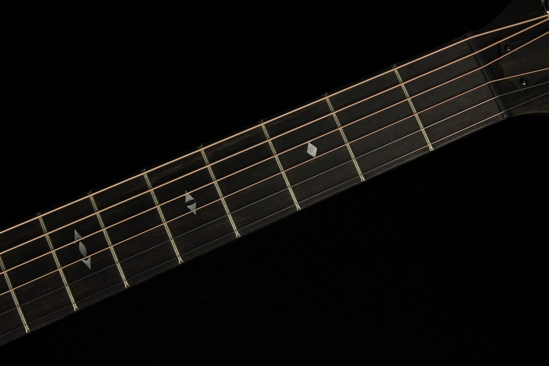 Taylor Builder's Edition 717e - WHB