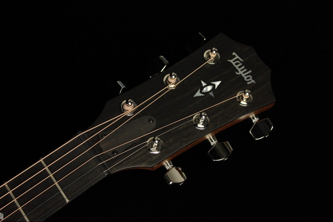 Taylor Builder's Edition 717e - WHB