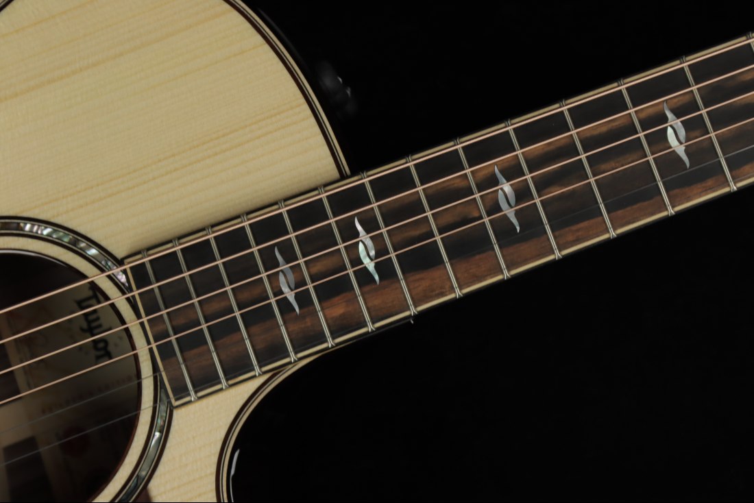 Taylor Builder's Edition 814ce