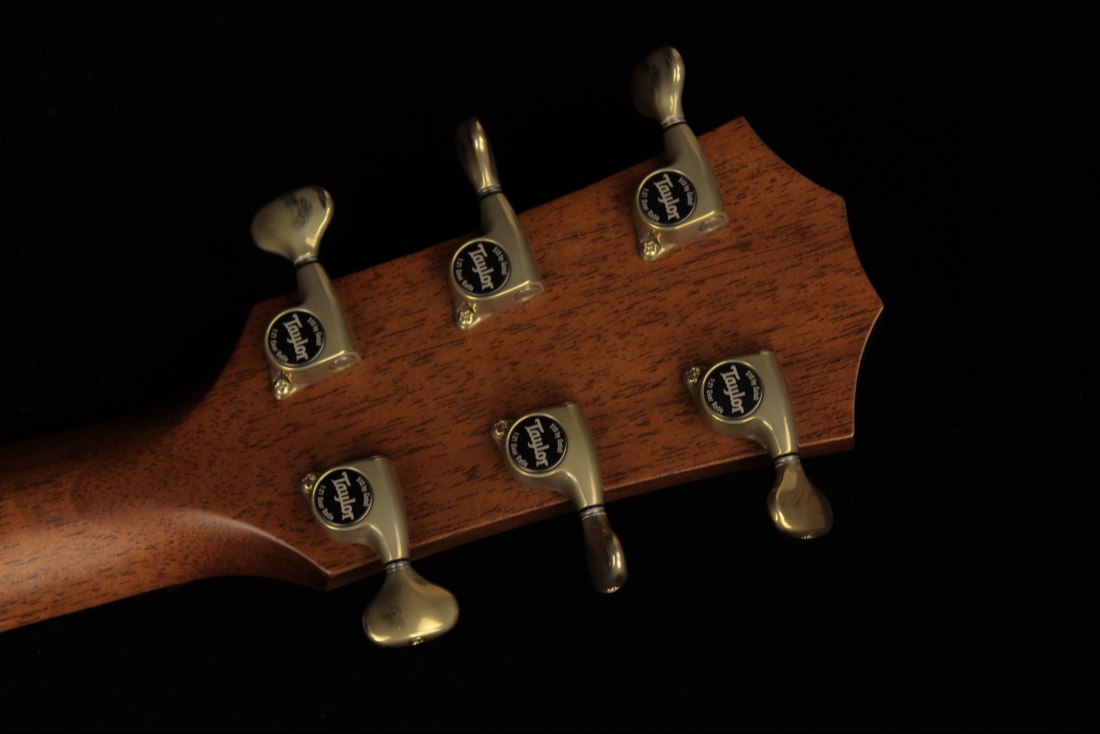 Taylor Builder's Edition 814ce Blacktop