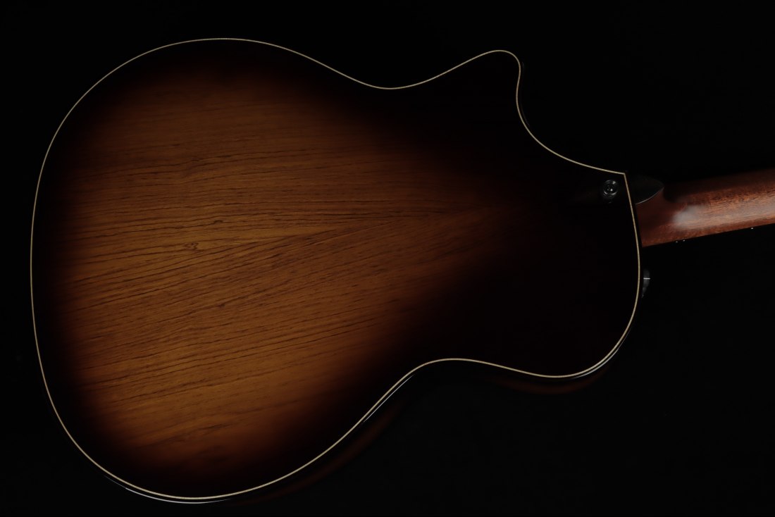 Taylor Builder's Edition 814ce Honduran Rosewood / Adirondack