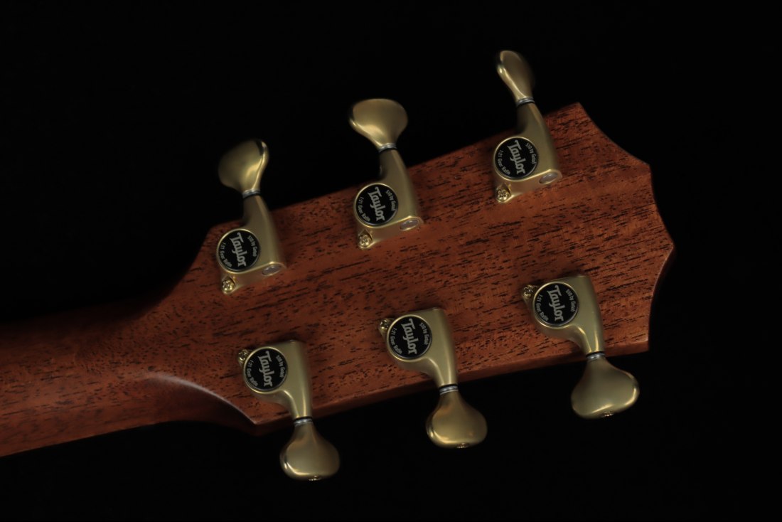 Taylor Builder's Edition 814ce Honduran Rosewood / Adirondack