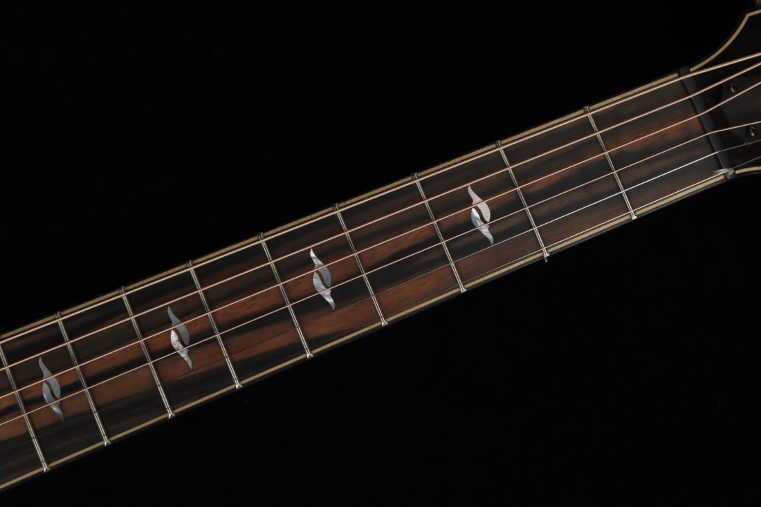 Taylor Builder's Edition 814ce Honduran Rosewood / Adirondack
