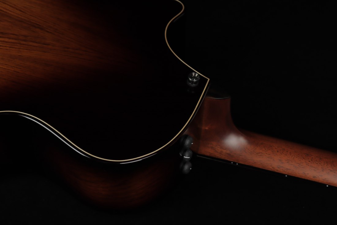 Taylor Builder's Edition 814ce Honduran Rosewood / Adirondack
