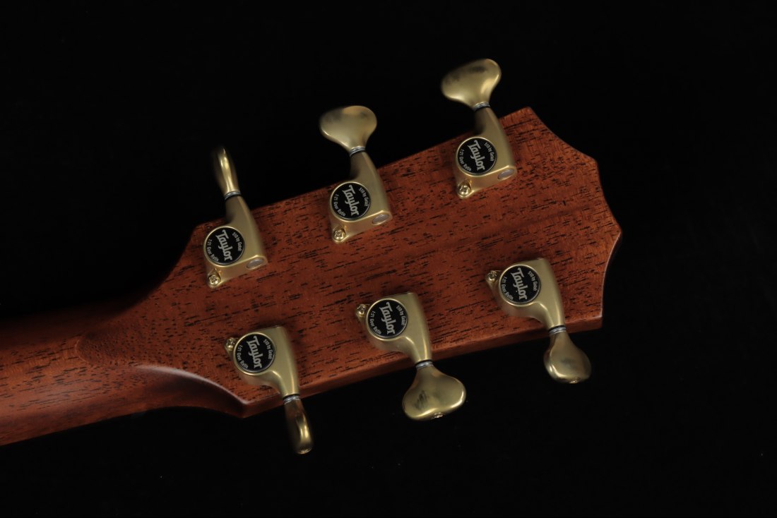 Taylor Builder's Edition 814ce Honduran Rosewood / Adirondack