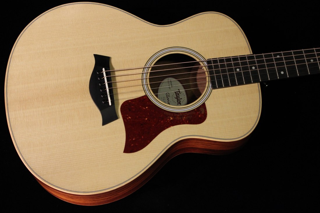 Taylor GS Mini-e RW