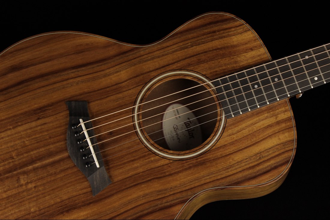 Taylor GS Mini-e Koa