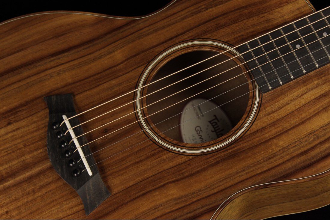 Taylor GS Mini-e Koa