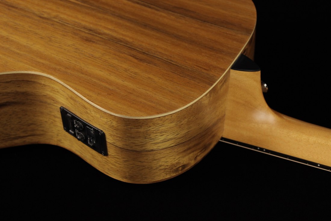 Taylor GS Mini-e Koa