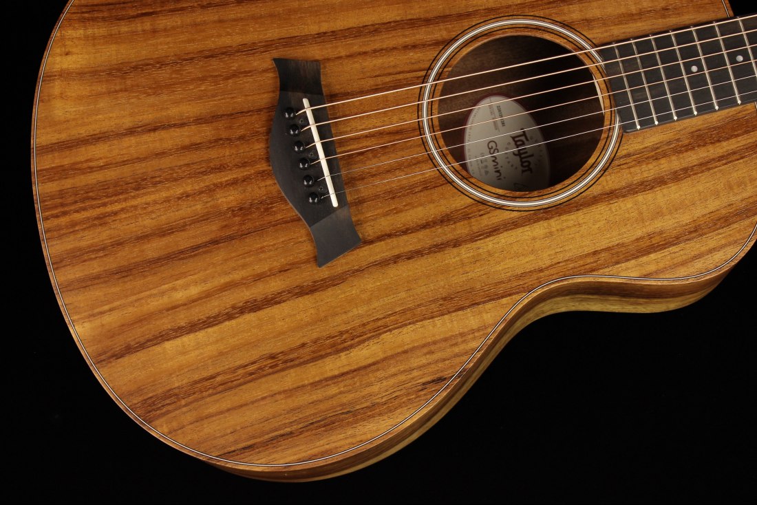 Taylor GS Mini-e Koa