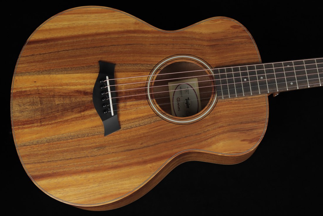 Taylor GS Mini-e Koa
