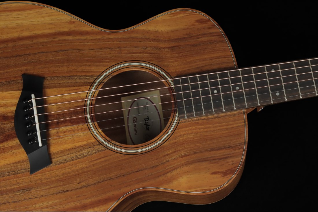 Taylor GS Mini-e Koa