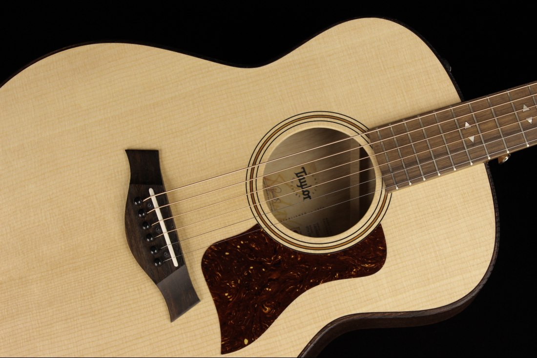 Taylor GTe