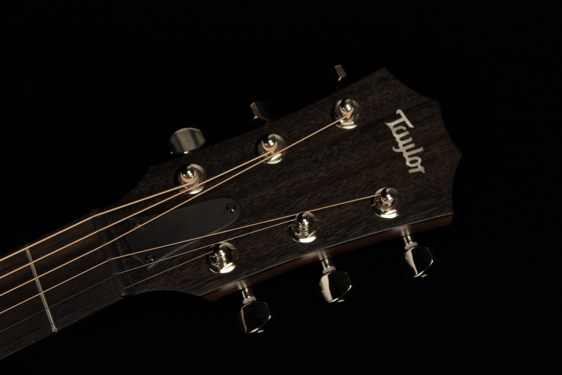 Taylor GTe Mahogany