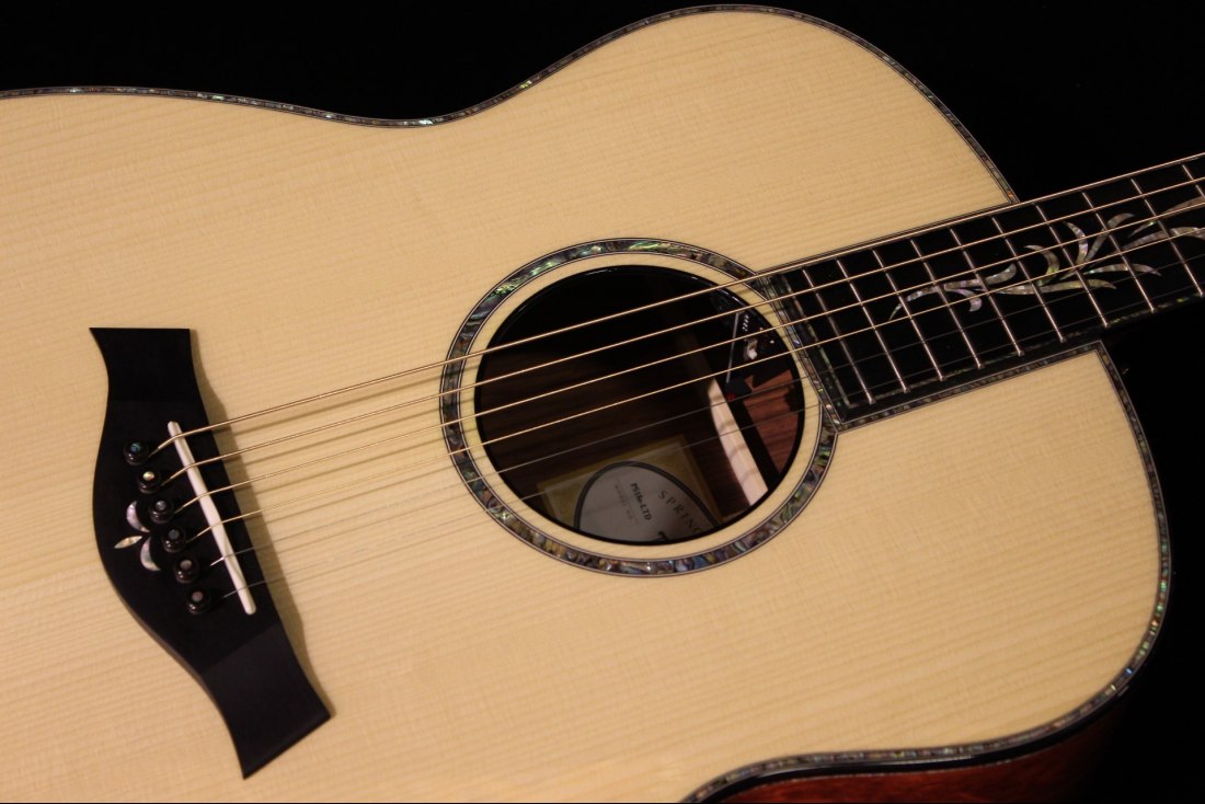 Taylor PS18e Limited Edition