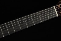 Alhambra Crossover CS-3 CW E8