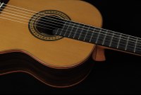 Alhambra Luthier Anniversario