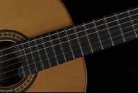 Alhambra Luthier Anniversario