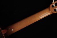 Alhambra Luthier Anniversario