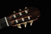 Alhambra Luthier Anniversario